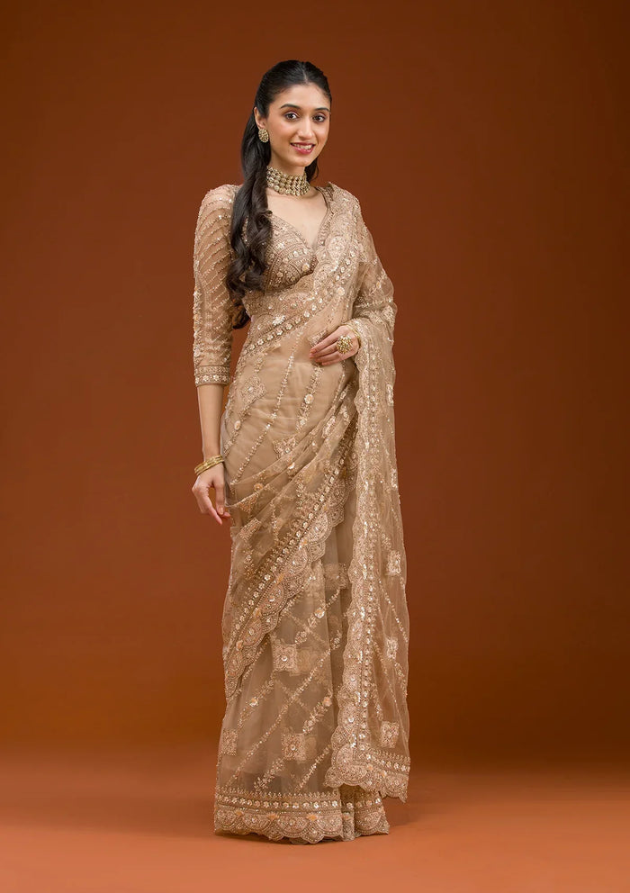 Fashion Cave Beige Stonework Net Saree