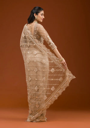 Fashion Cave Beige Stonework Net Saree