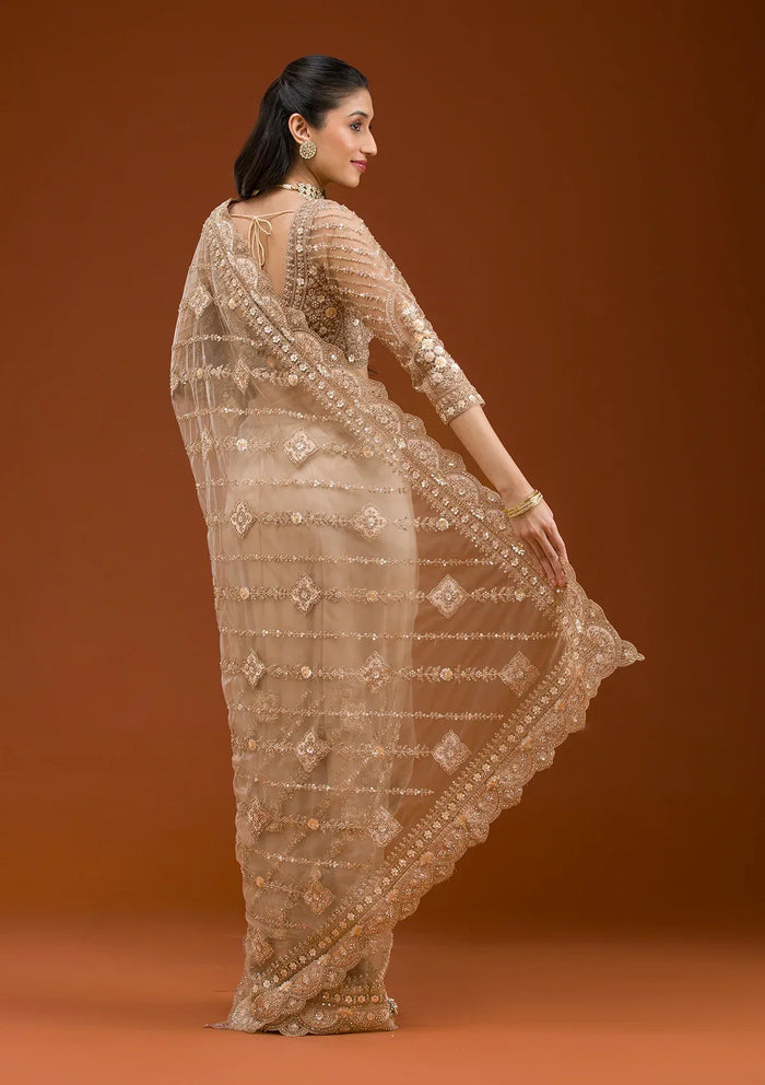 Fashion Cave Beige Stonework Net Saree
