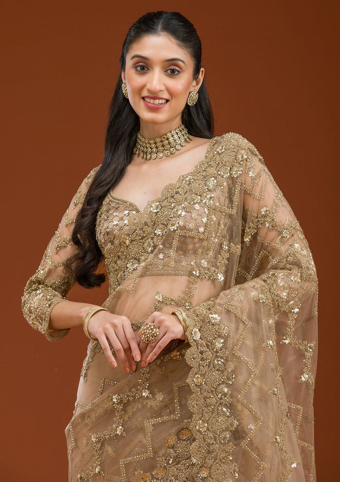 Fashion Cave Beige Stonework Net Saree