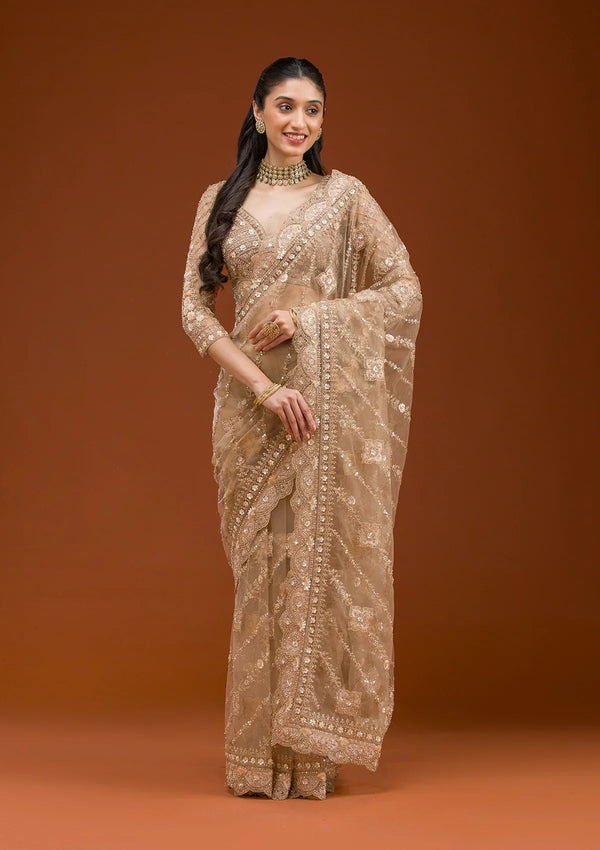Fashion Cave Beige Stonework Net Saree