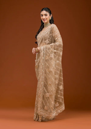 Fashion Cave Beige Stonework Net Saree
