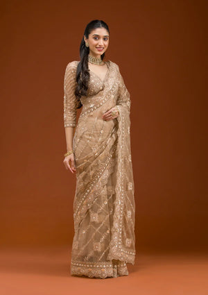 Fashion Cave Beige Stonework Net Saree