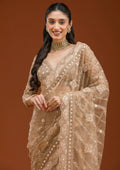 Fashion Cave Beige Stonework Net Saree