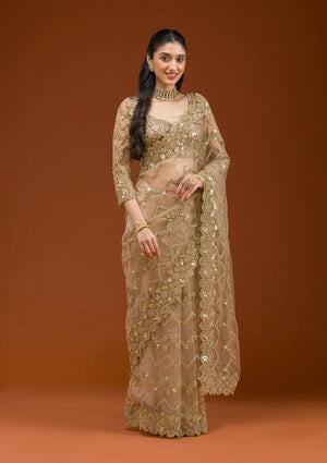 Fashion Cave Beige Stonework Net Saree
