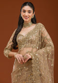 Fashion Cave Beige Stonework Net Saree