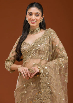Fashion Cave Beige Stonework Net Saree