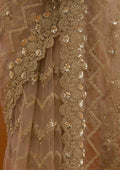 Fashion Cave Beige Stonework Net Saree