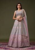 Fashion Cave Pink Threadwork Net Readymade Lehenga