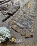Beautiful Space Silk coding and double sequence Saree
