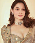 Bollywood style  Frandy chifforn Saree